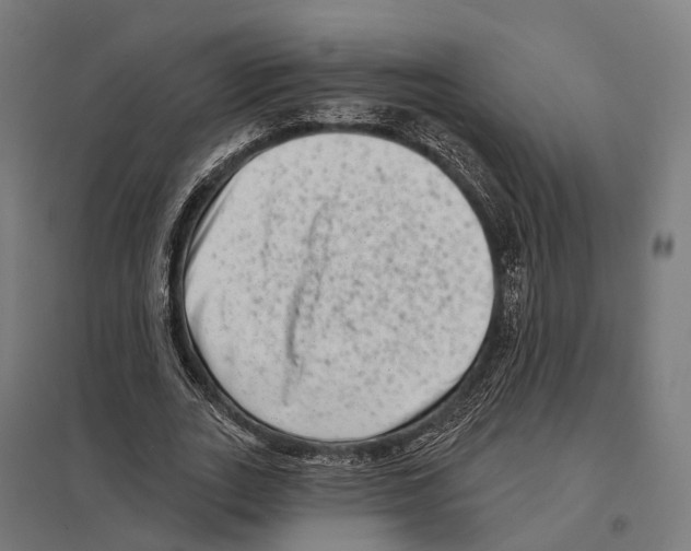 X0000097630727200803281059