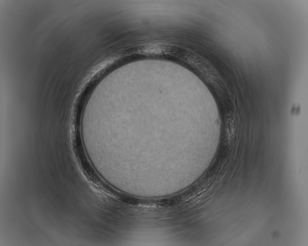 X0000097630728200803281059