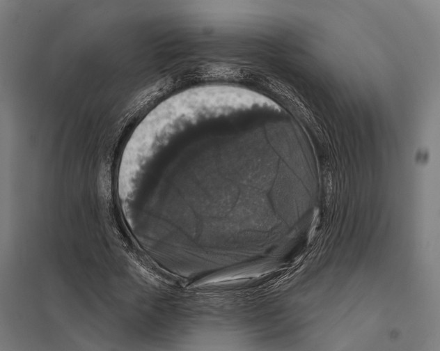 X0000097630729200803281059