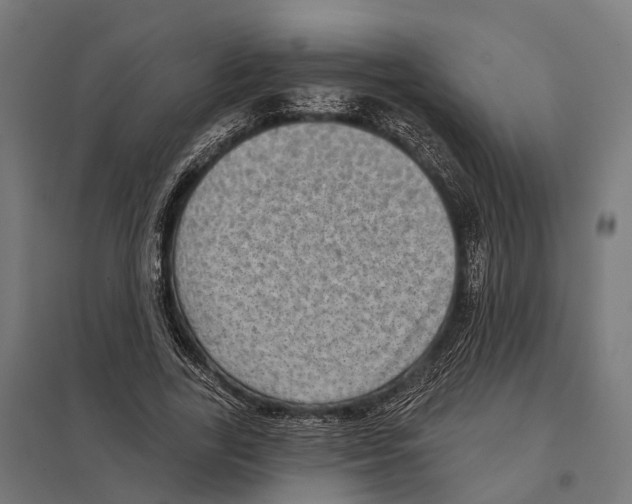 X0000097630731200803281059
