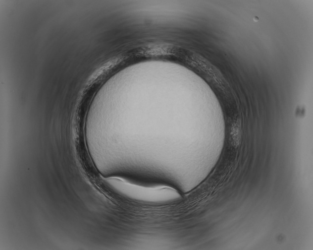 X0000097630732200803281059