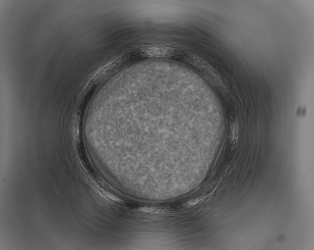X0000097630733200803281059