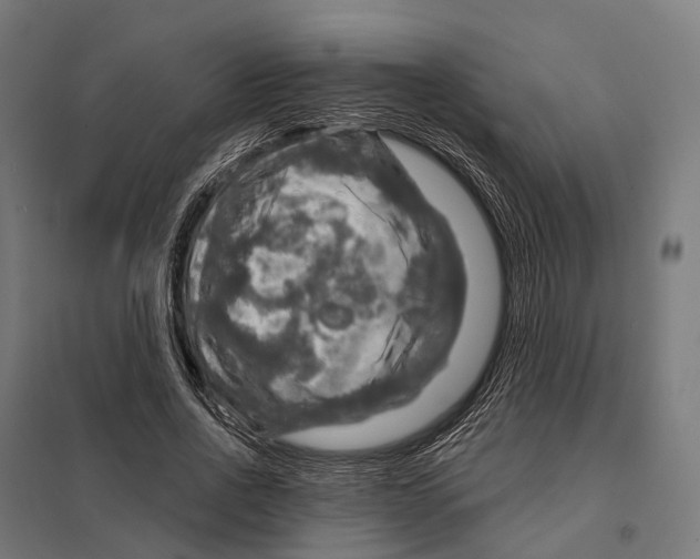 X0000097630734200803281059