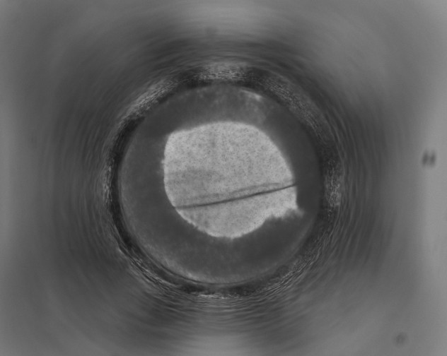 X0000097630735200803281059