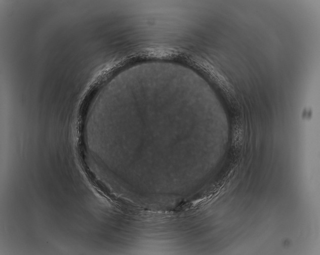 X0000097630736200803281059