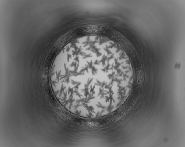 X0000097630737200803281059