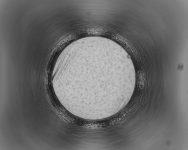 X0000097630738200803281100