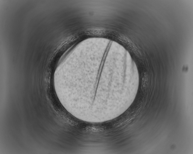 X0000097630739200803281100