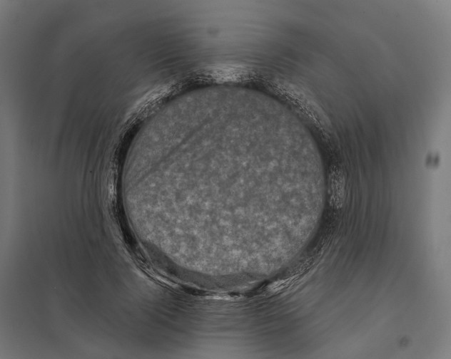 X0000097630740200803281100