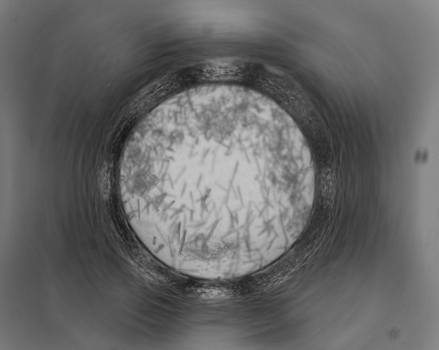 X0000097630741200803281100