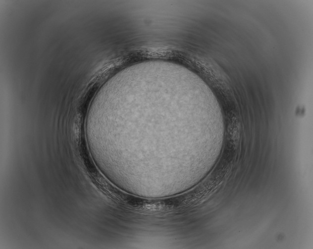 X0000097630744200803281100
