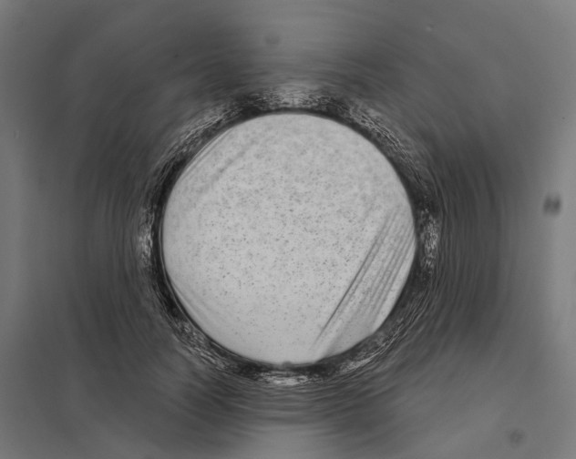 X0000097630746200803281100
