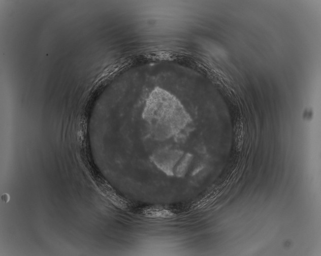 X0000097630747200803281100