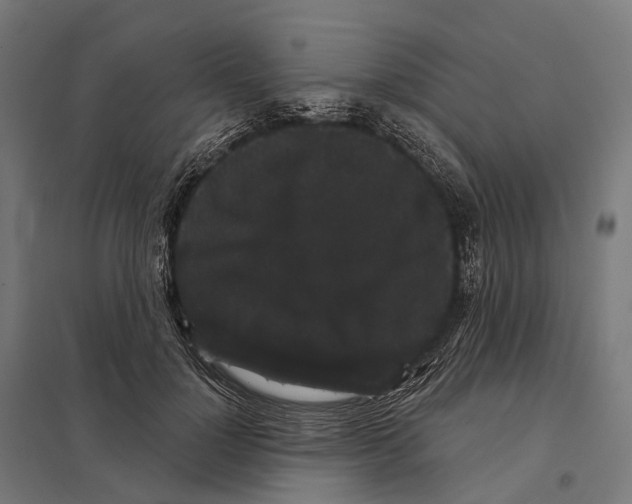 X0000097630748200803281100