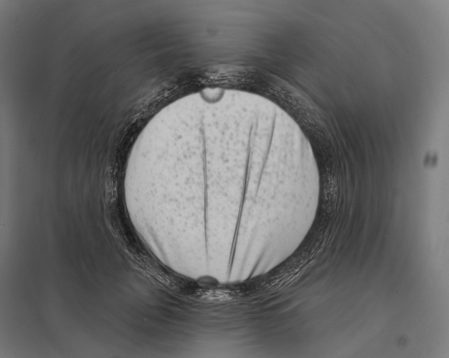 X0000097630751200803281100