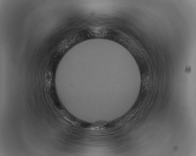 X0000097630752200803281100