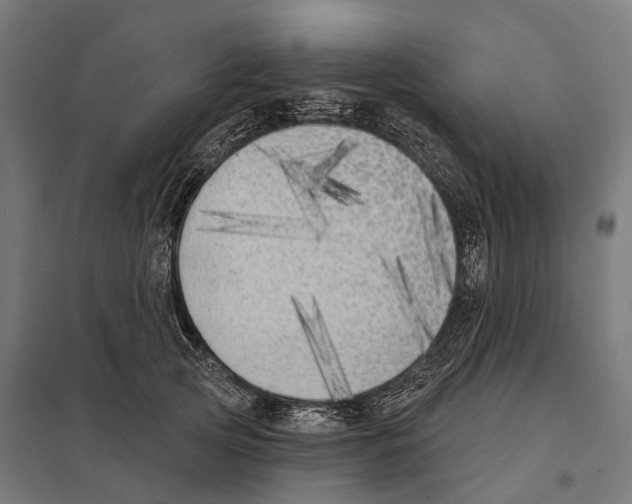 X0000097630753200803281100