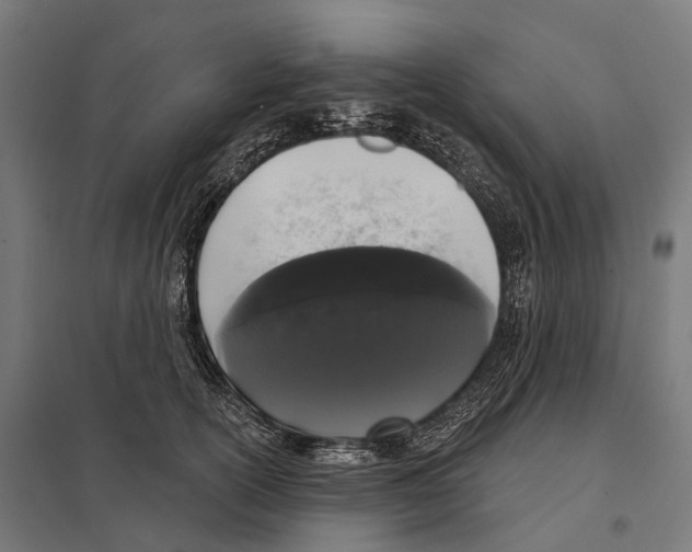 X0000097630754200803281100