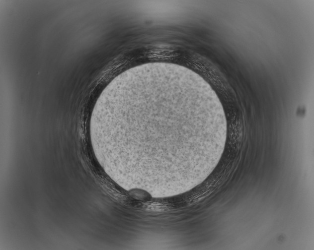 X0000097630755200803281100