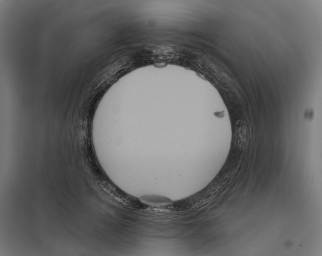 X0000097630756200803281100