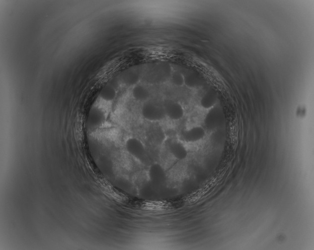 X0000097630757200803281100