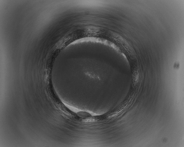 X0000097630759200803281100