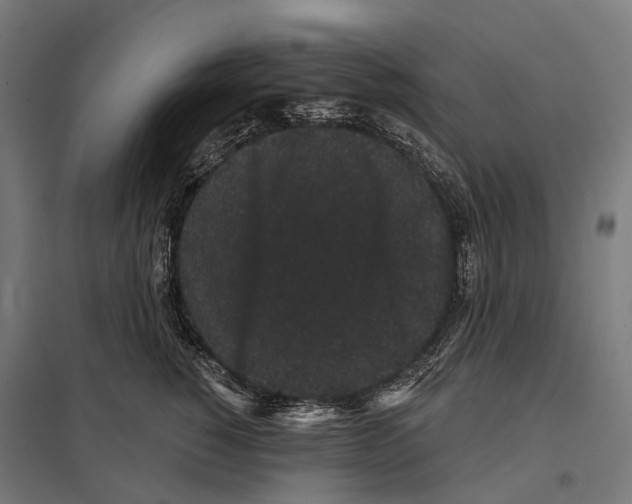 X0000097630760200803281100