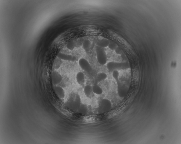 X0000097630761200803281100