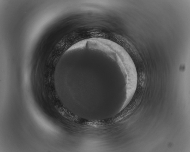 X0000097630763200803281100
