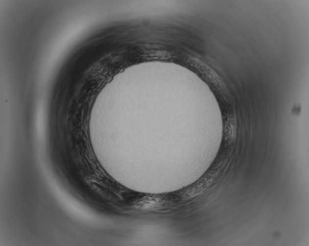 X0000097630764200803281100