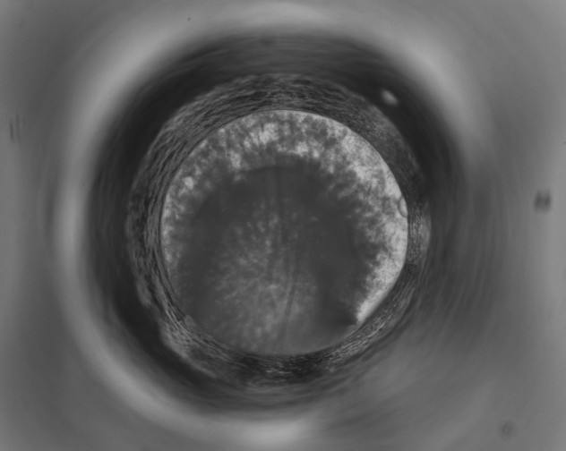X0000097630765200803281100
