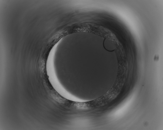 X0000097630767200803281100