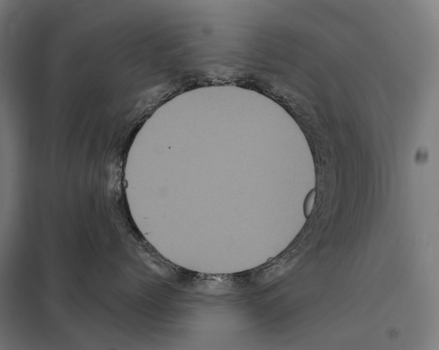 X0000097630768200803281100