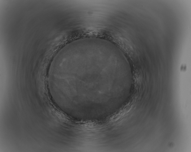 X0000097630769200803281059