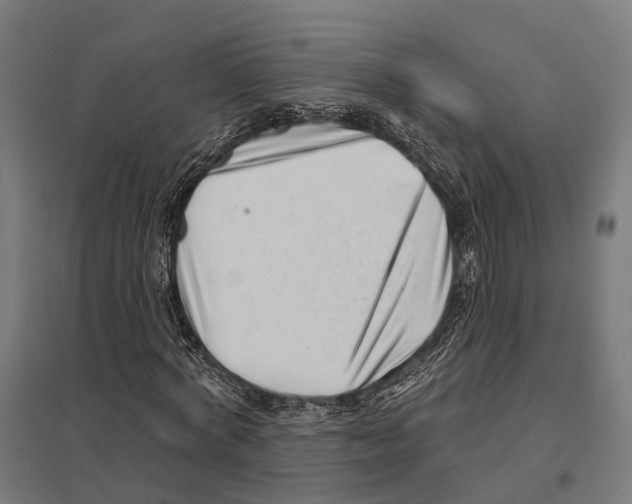 X0000097630772200803281059