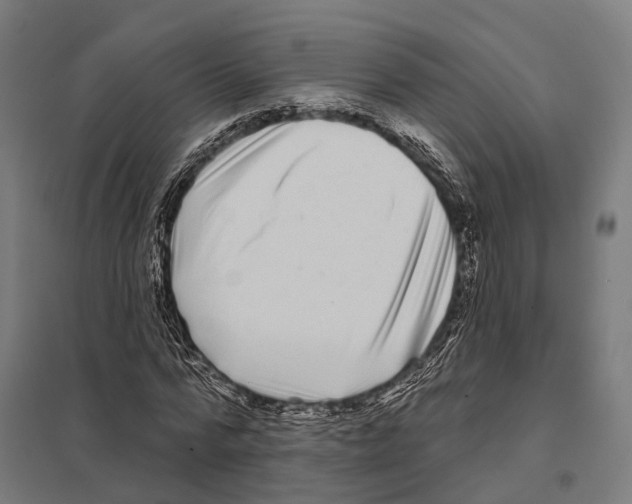 X0000097630776200803281059