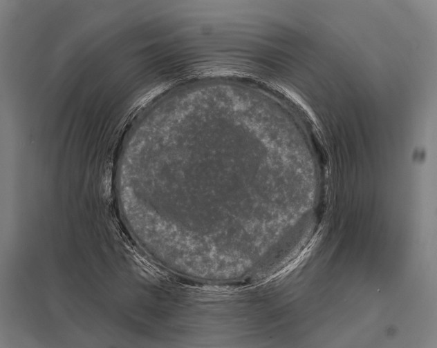 X0000097630777200803281059