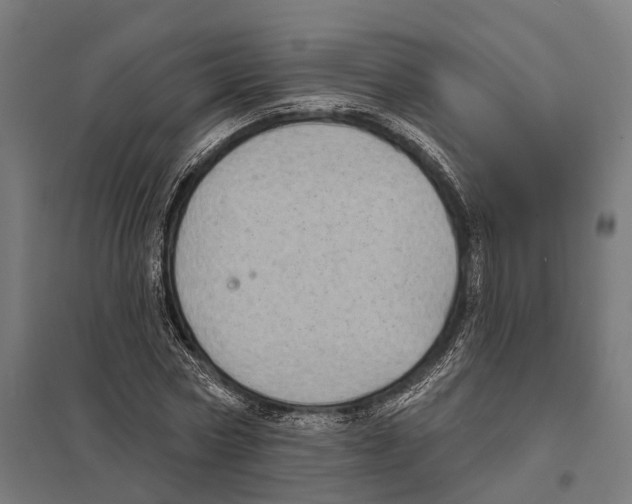 X0000097630778200803281059