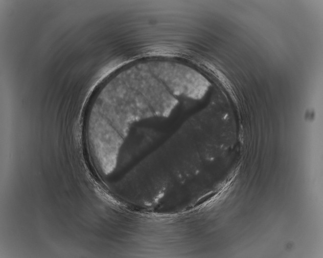 X0000097630779200803281059