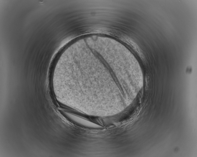 X0000097630780200803281059