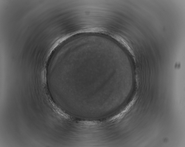 X0000097630781200803281059