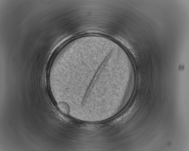 X0000097630782200803281059