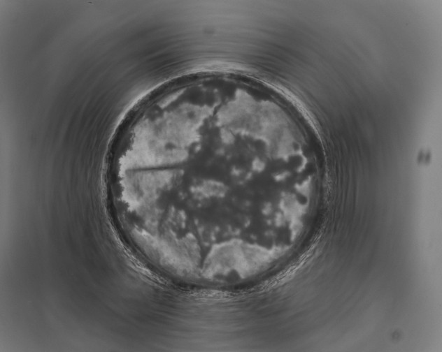 X0000097630783200803281059
