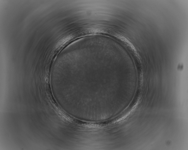 X0000097630785200803281059