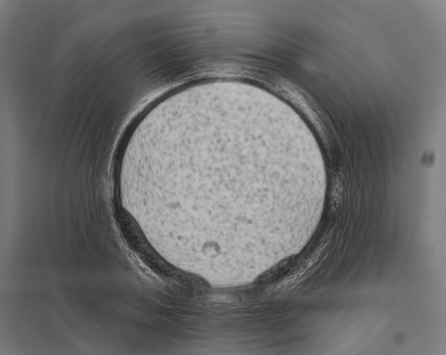 X0000097630787200803281059