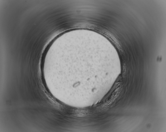X0000097630788200803281059