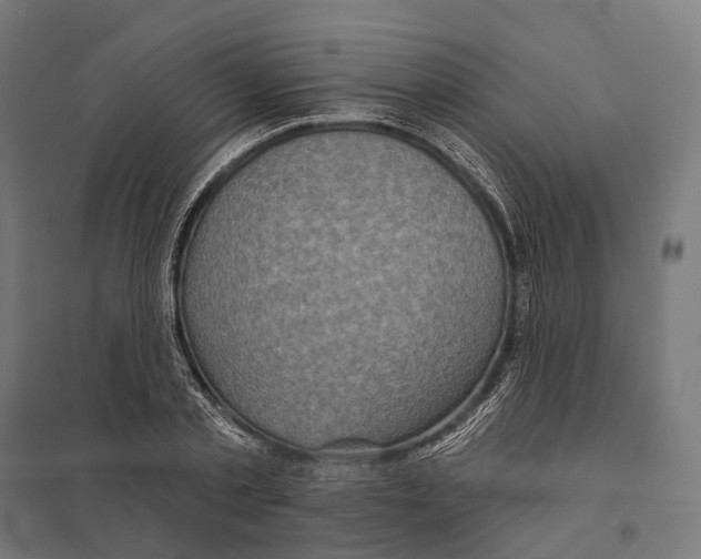 X0000097630789200803281059