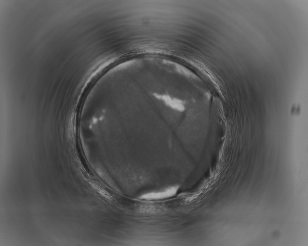 X0000097630790200803281059