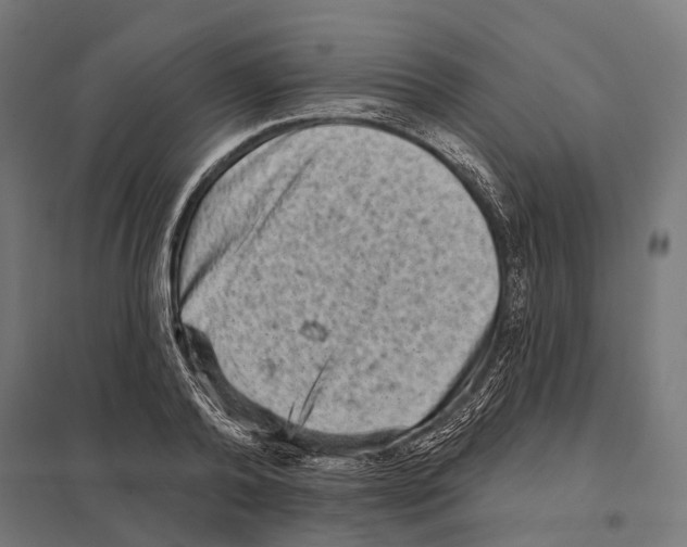 X0000097630792200803281059