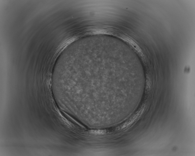 X0000097630793200803281059